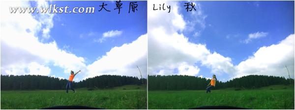 如果我是向日葵-你們就是我的陽光(重慶武隆)