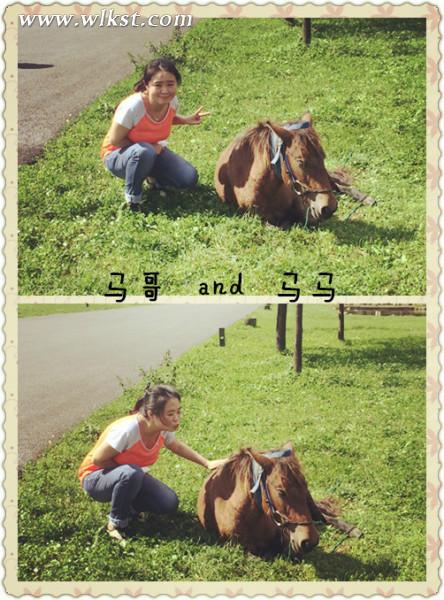 如果我是向日葵-你們就是我的陽光(重慶武隆)