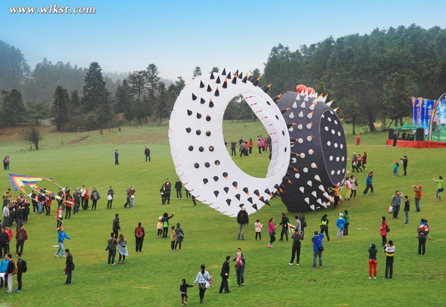 仙女山國際風箏放飛季 4月4日開幕 6000米風箏來啦！