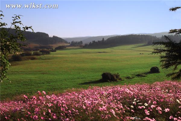 到仙女山播種格?；ǐI給媽媽
