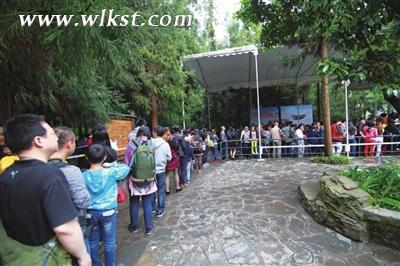 景區秩序井然。 代君君/攝