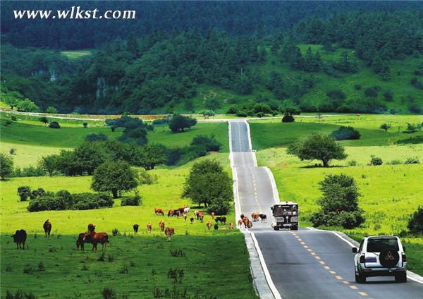 美麗的仙女山景區 