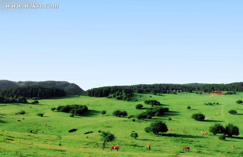 中秋節(jié)到仙女山尋重慶最美月亮 景區(qū)門票只需1元錢