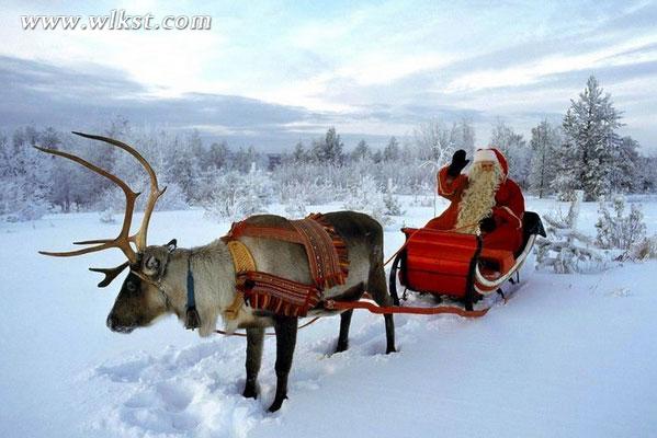 圣誕老人的神獸來仙女山啦！