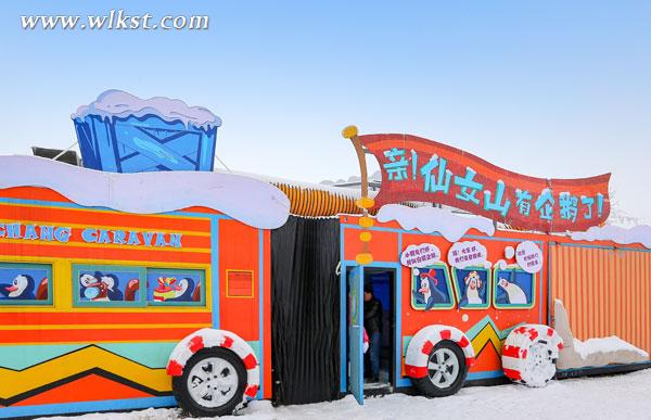 南極極地企鵝 今天在重慶仙女山跟游客見面