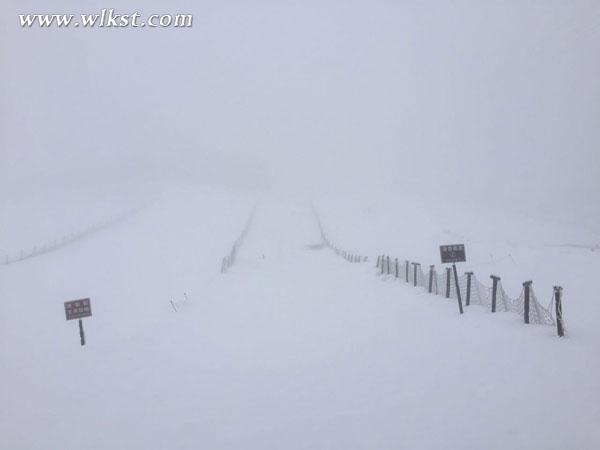 仙女山猴年再降瑞雪 企鵝館免費(fèi)開放