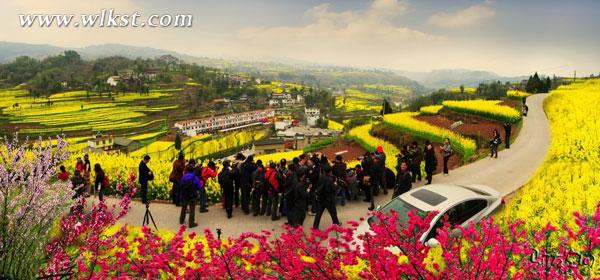 武隆廟埡油菜花