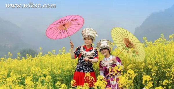 武隆廟埡油菜花