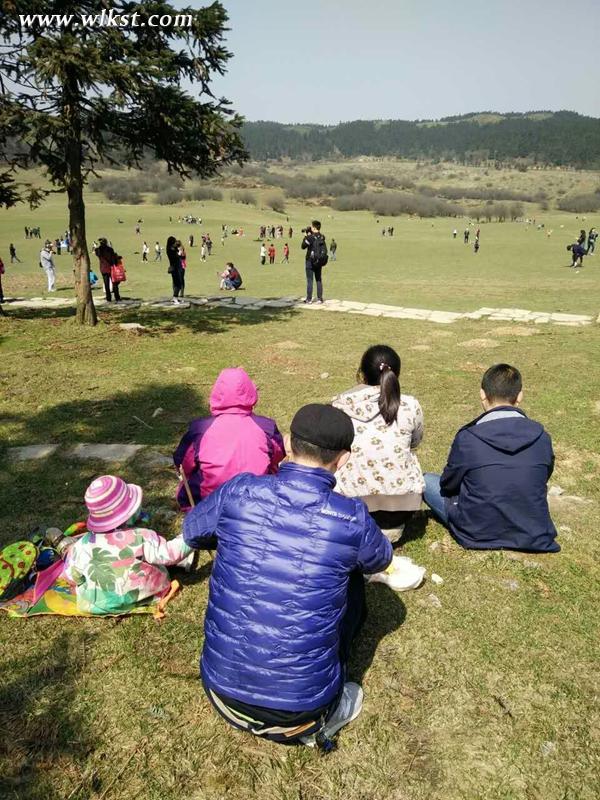  昨日仙女山大草原上的踏青人(網(wǎng)友供圖)