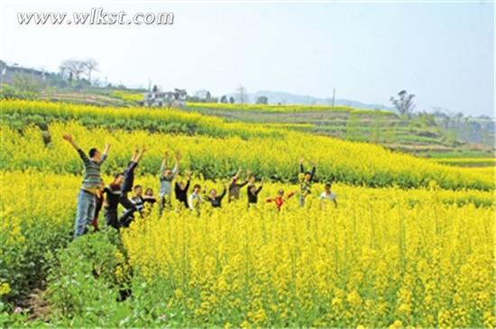 游客們在油菜花海里玩得正嗨。