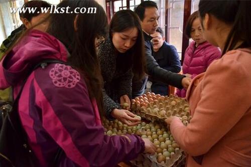 游客自行購買農家土雞蛋