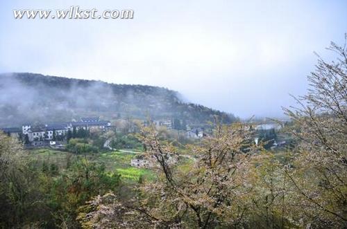 和順鎮周邊環境