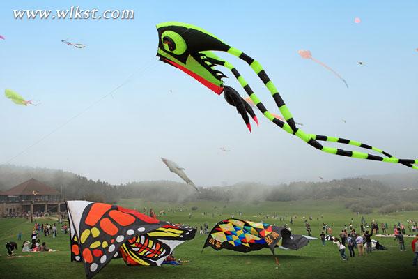 仙女山大學生國際風箏節, 火熱報名中&hellip;.