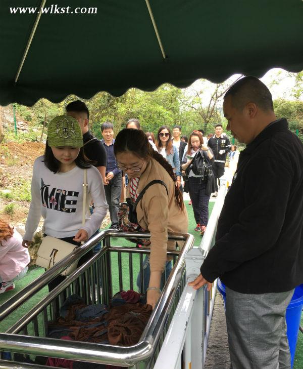 尖叫不停歇 武隆天生三橋懸崖玻璃眺臺成刺激體驗寵兒