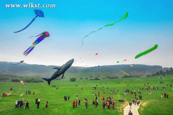 仙女山舉辦西南最大風箏盛會 7國頂尖高手同場競技