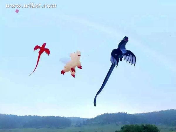 仙女山舉辦西南最大風箏盛會 7國頂尖高手同場競技