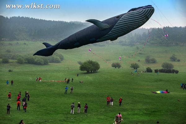 仙女山舉辦西南最大風箏盛會 7國頂尖高手同場競技