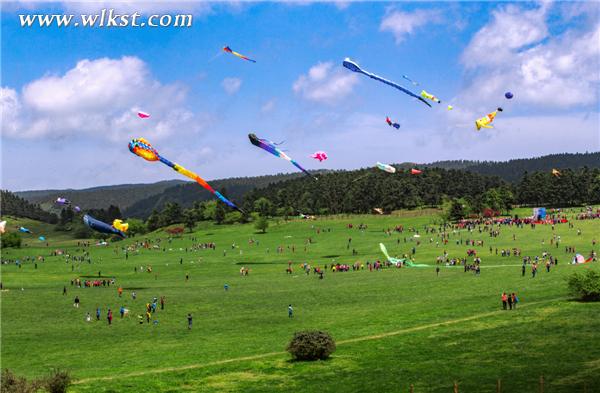  2016仙女山高山國際風箏季在仙女山大草原13日開幕，圖為現場天空已成為風箏的海洋。