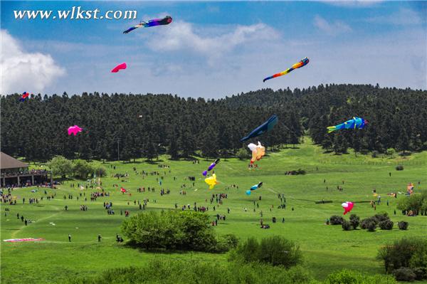  仙女山高山國際風箏季已成為重慶旅游業的一張靚麗名片。(王俊杰/攝)