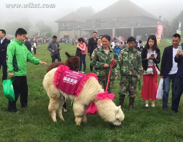 全國首趟大學(xué)生專列赴仙女山上演&ldquo;讓西瓜飛&rdquo;