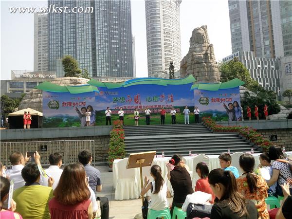 武隆首屆鄉(xiāng)村旅游展會(huì)在觀音橋舉行 李瓊/攝