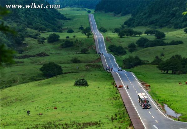 武隆仙女山原生態公路 