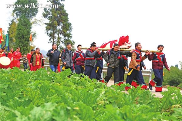  年豬戴花趣味足。