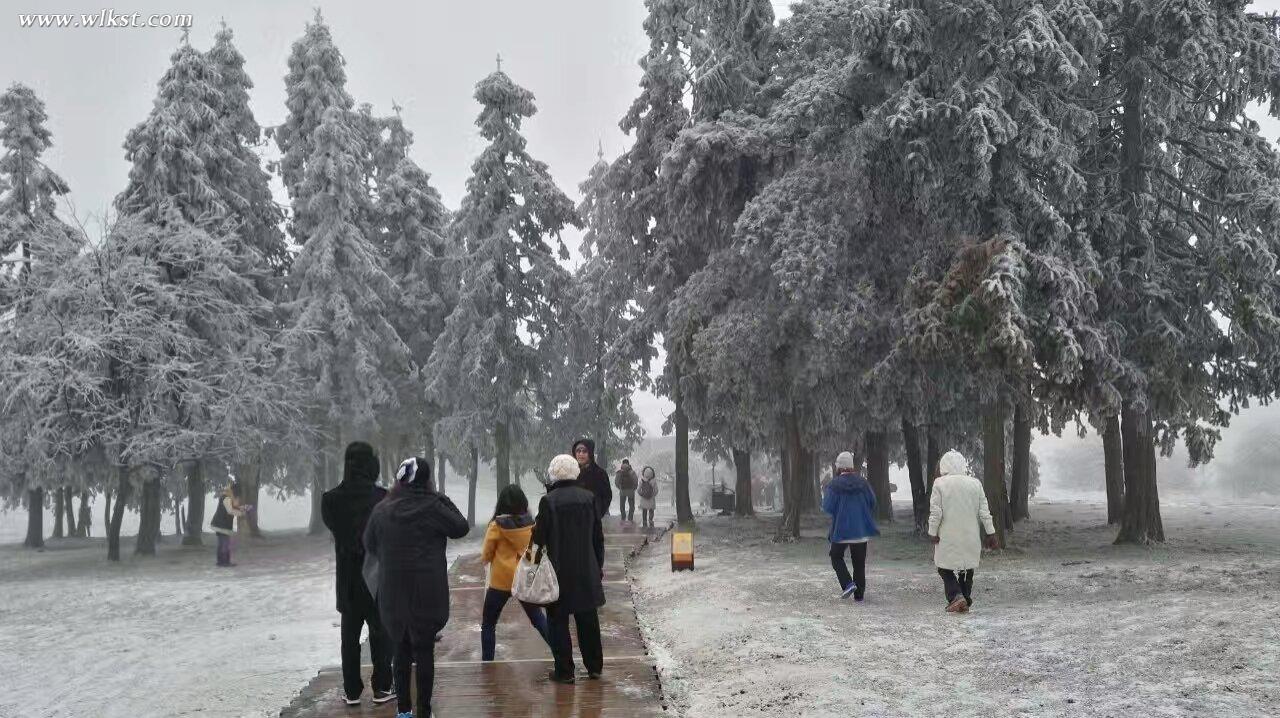 下雪迎來游客趕早賞雪