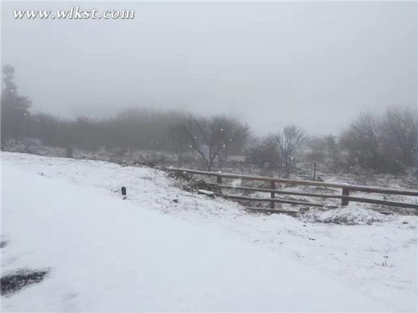 武隆仙女山強降春雪 元宵佳節戲雪滑雪好去處