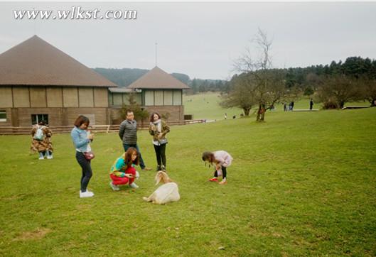  景區(qū)內放養(yǎng)的動物，與游人和諧相處 (李瓊/拍攝)