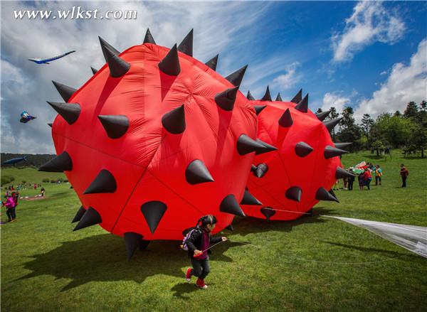 往年風箏節創意風箏