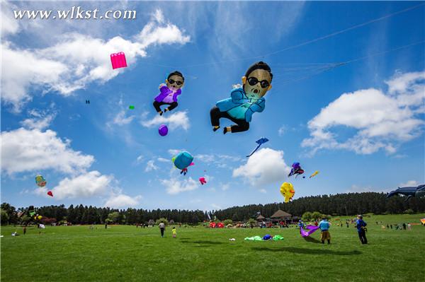 往年風箏節創意風箏