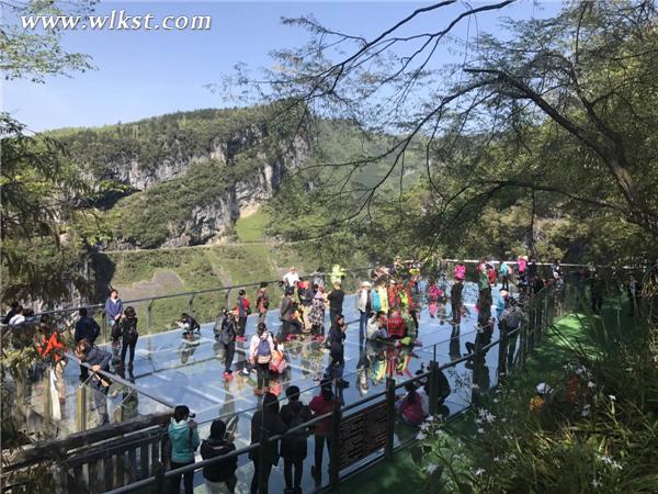 澳門月月包機游武隆