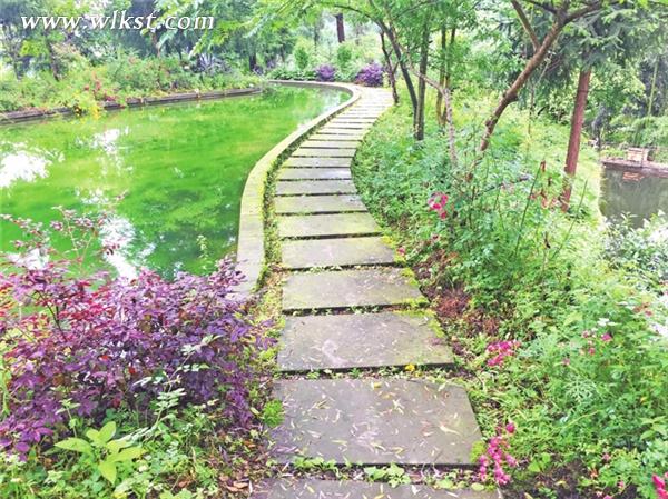 心懷一縷鄉愁 到武隆龍寶塘歸隱