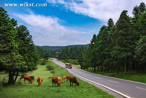 風光旖旎的仙女山景區