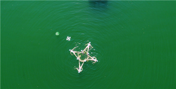 國內首次江上芭蕾