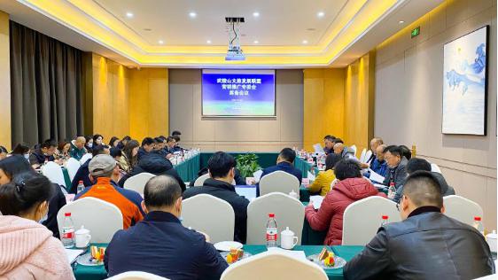 武隆等8區縣加入“群聊”