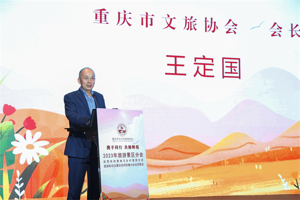 重慶市文化和旅游協(xié)會(huì)會(huì)長(zhǎng)王定國(guó)講話